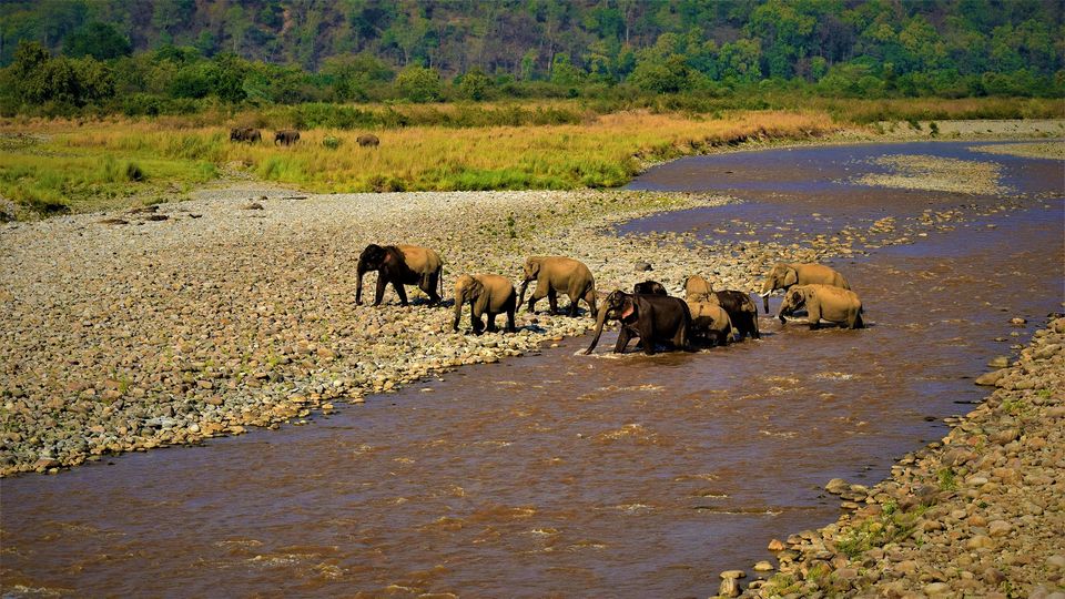 dhikala zone, dhikala zone safari, dhikala zone jim corbett, dhikala zone jim corbett visit, jim corbett national park, corbett national park, corbett jeep safari, 