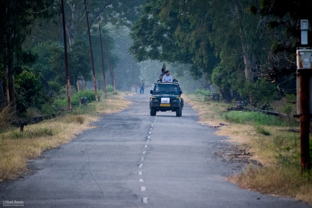 dhikala zone, dhikala zone safari, dhikala zone jim corbett, dhikala zone jim corbett visit, jim corbett national park, corbett national park, corbett jeep safari,