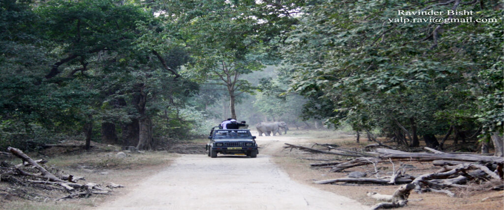 dhikala zone, dhikala zone safari, dhikala zone jim corbett, dhikala zone jim corbett visit, jim corbett national park, corbett national park, corbett jeep safari, 