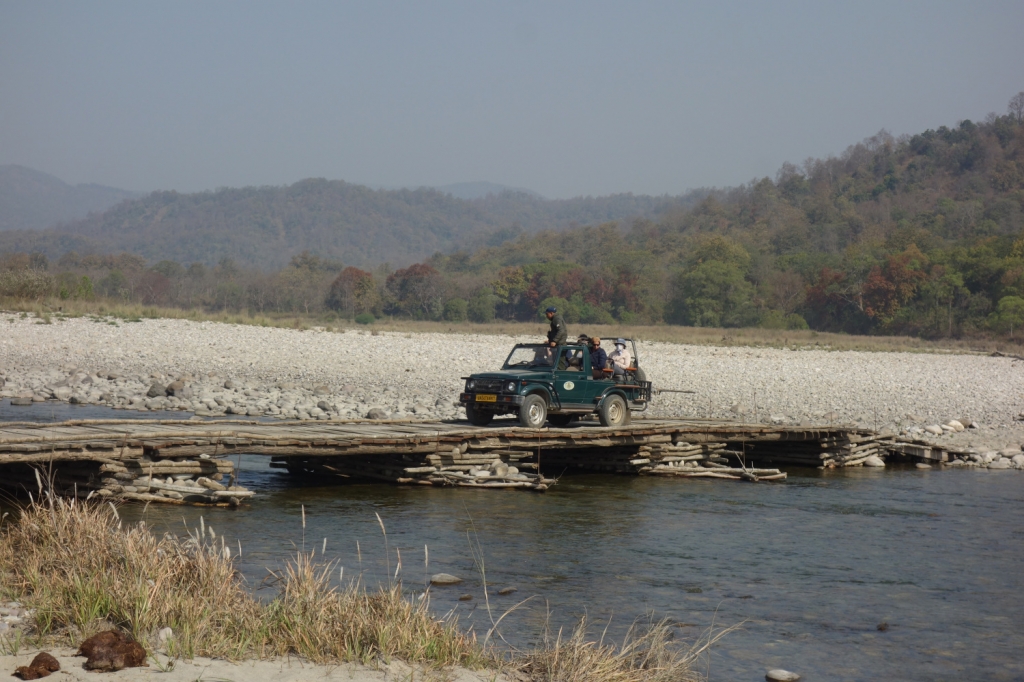 dhikala zone, dhikala zone safari, dhikala zone jim corbett, dhikala zone jim corbett visit, jim corbett national park, corbett national park, corbett jeep safari, 