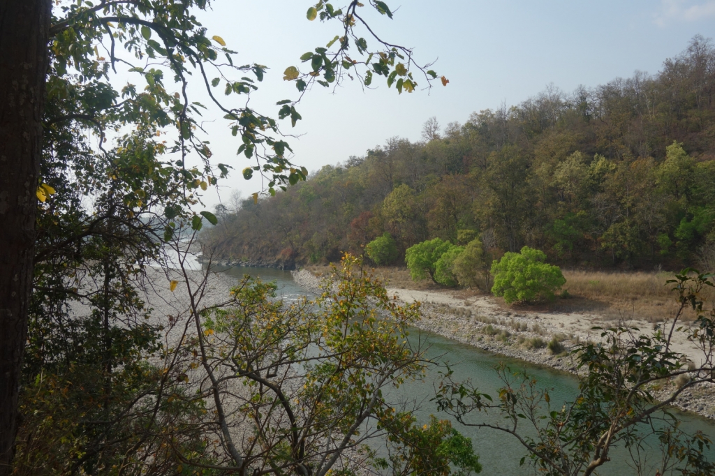 dhikala zone, dhikala zone safari, dhikala zone jim corbett, dhikala zone jim corbett visit, jim corbett national park, corbett national park, corbett jeep safari, 