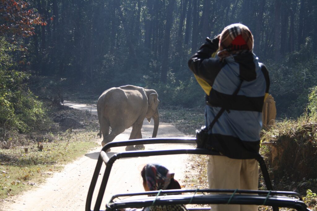 dhikala zone, dhikala zone safari, dhikala zone jim corbett, dhikala zone jim corbett visit, jim corbett national park, corbett national park, corbett jeep safari, 