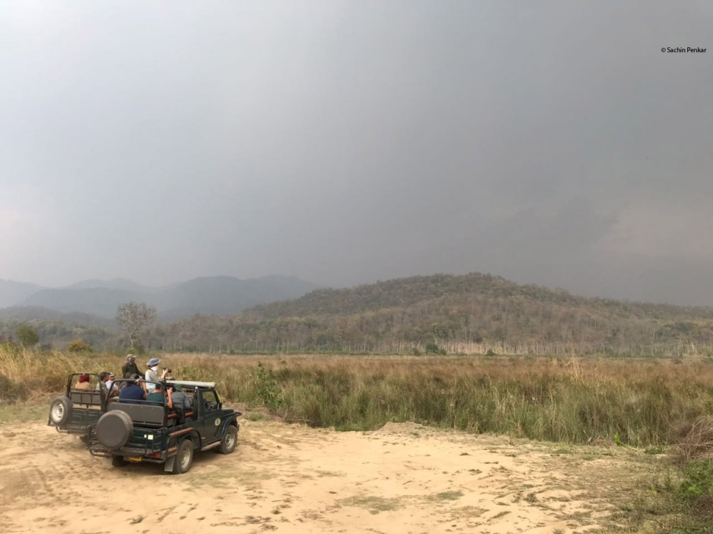 dhikala zone, dhikala zone safari, dhikala zone jim corbett, dhikala zone jim corbett visit, jim corbett national park, corbett national park, corbett jeep safari, 